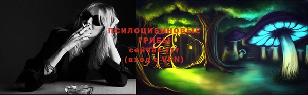 прущая мука Вязьма